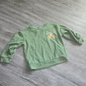 12M Boys Green Kids Sweatshirt with Dinosaur Print